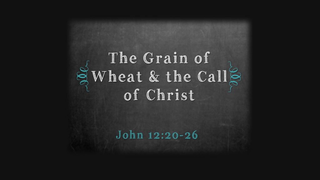 The Grain of Wheat and the Call of Christ